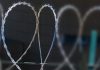 Amor de Batalha